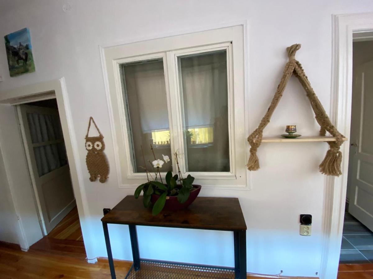 Home Of Art Rîşnov Esterno foto